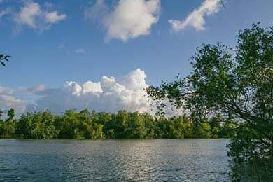 陪读妈妈怒怼牢A脖子上的“认主项链”被沪爷认出暴露真相