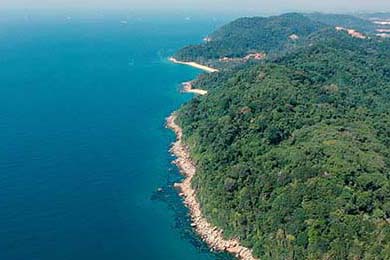 胡志明市：2026年起建议限制汽油车驶入市中心